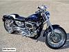 My Drag Race inspired 1200 Sportster-sportster-4.jpg