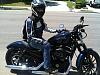 New Iron 883 owner with some questions on vance and hines exhaust mod-image.jpg