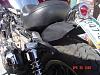 I need fender supports-sportster-rear-fender-001.jpg