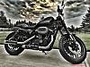 SPORTSTER Photography-image.jpeg