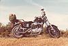 Had a Sportster once-bike5.jpg