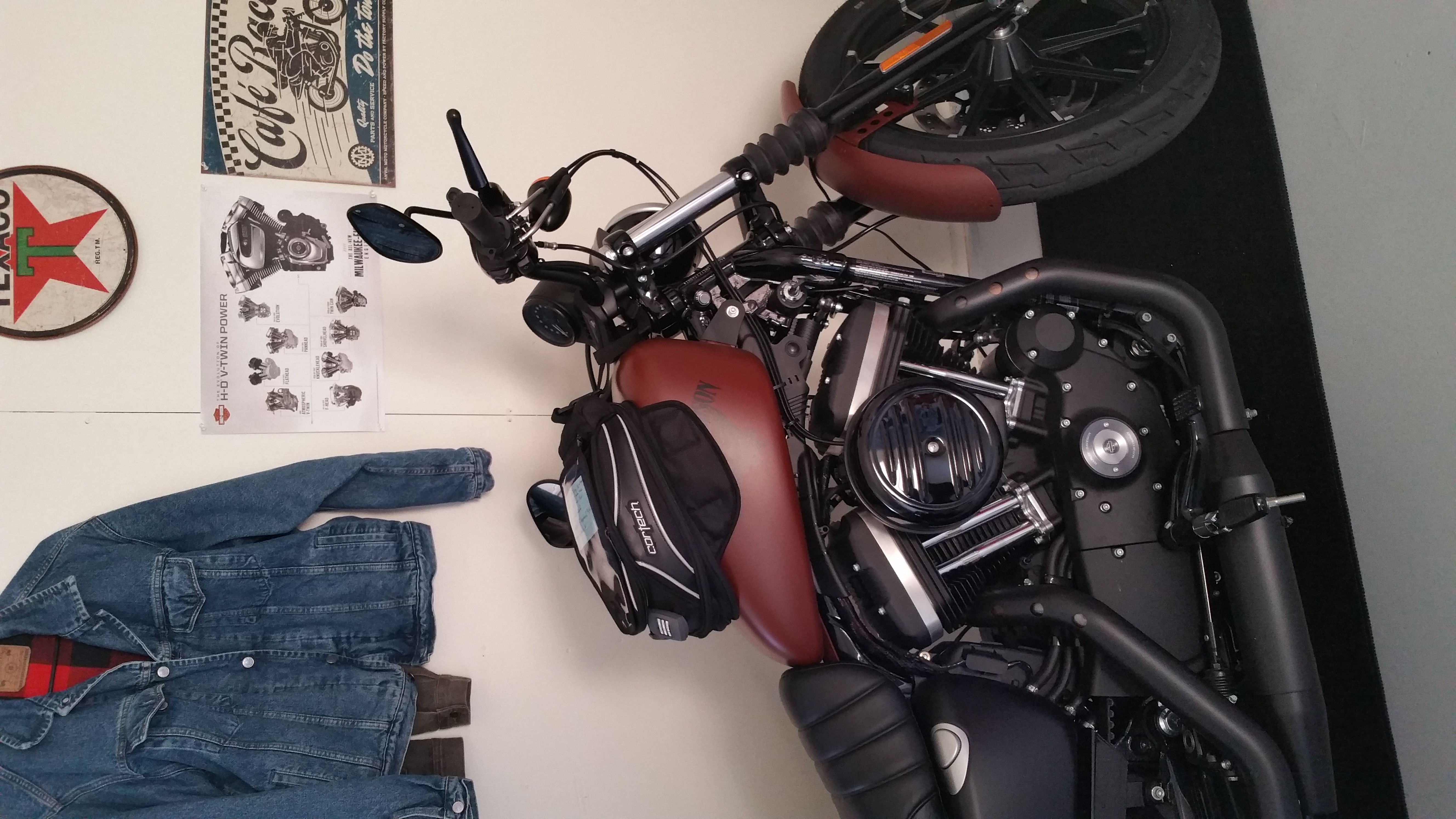 iron 883 bags