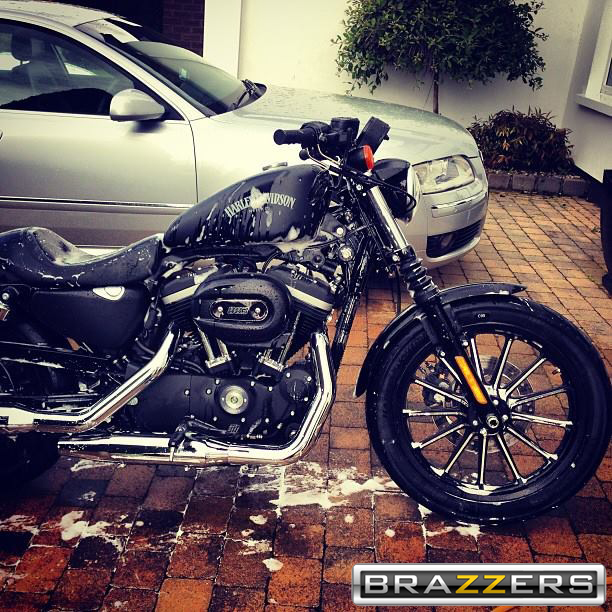 Name:  Iron883Brazzers.jpg
Views: 1179
Size:  341.9 KB