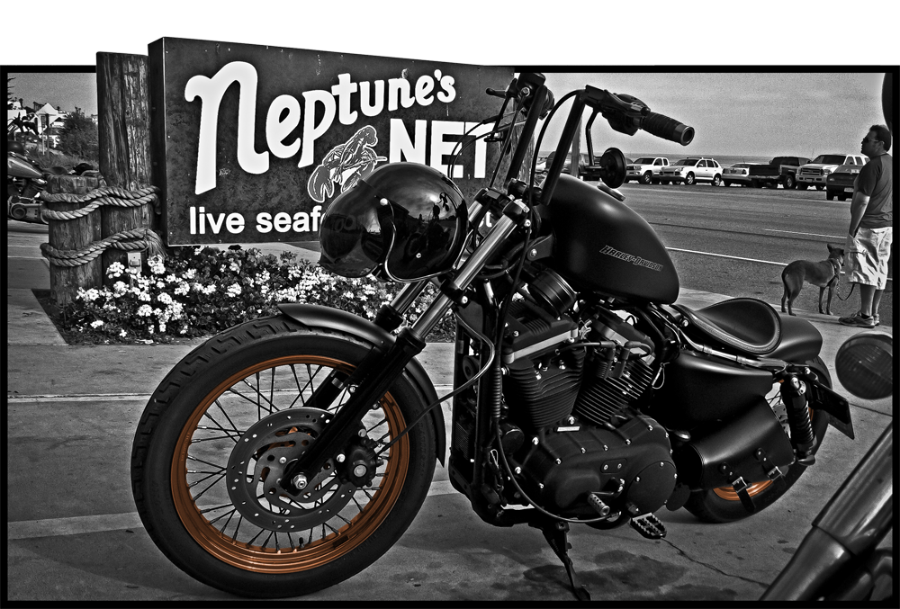 Name:  BikeatNeptunesNet.png
Views: 359
Size:  780.3 KB