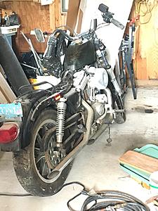 86 Evo Sportster-barn-find-day-1.jpg