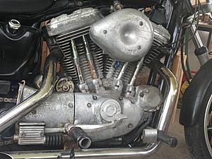 86 Evo Sportster-4.jpg