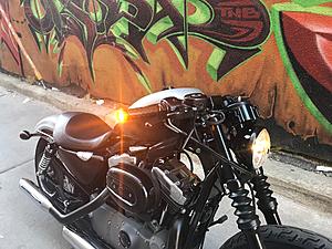 What did you do to Your Sportster Today?-img_5115.jpg