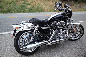 What did you do to Your Sportster Today?-ap8150005.jpg