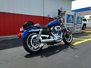 New Sportster owner-k3dr0i9l.jpg