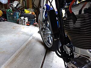 What did you do to Your Sportster Today?-4tt8ilv.jpg