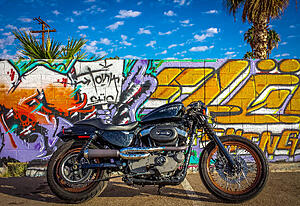 Show your Favorite Pic of Your Sportster, Just One-tfg29l3.jpg