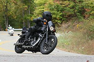 **How Many Iron 883 Owners Out There?**-xha3gfh.jpg