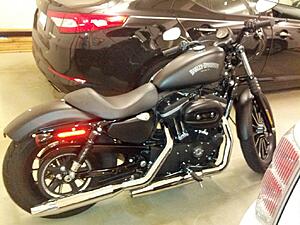 Proud new owner of an Iron 883-ofde5h.jpg