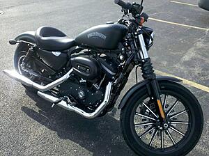 Mustang Wide Solo review for 2012 Iron 883-qdqhe.jpg