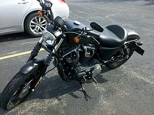 Mustang Wide Solo review for 2012 Iron 883-xuktm.jpg