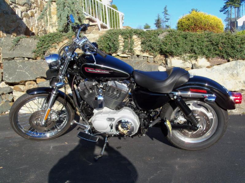 sportster 1200 conversion kit