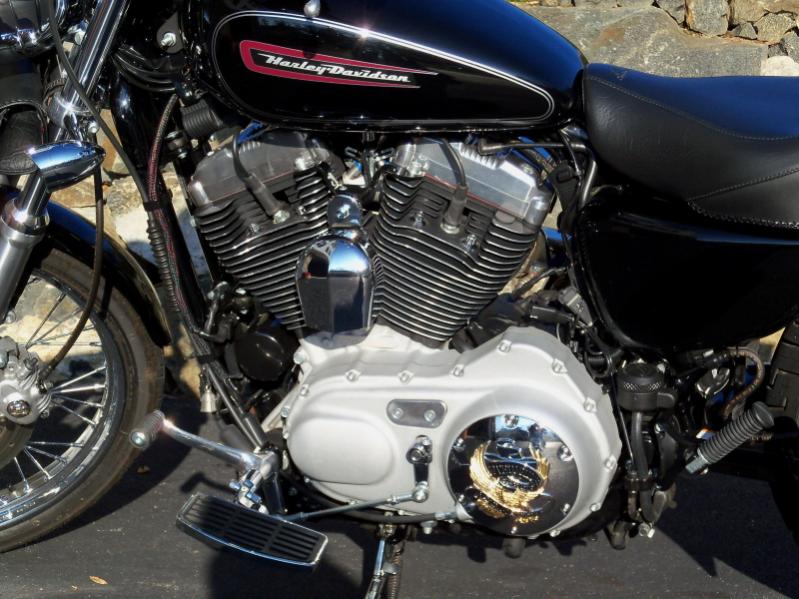 sportster 1200 conversion kit