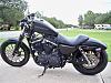 **How Many Iron 883 Owners Out There?**-kaylie-anavae-293.jpg