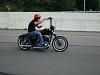  all nightster pics-35209_1267079091619_1669067632_546982_4814380_n.jpg