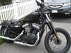  all nightster pics-new-paint-on-bike5.jpg