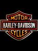 sig ic size adjustment-harley-davidson-6.jpg