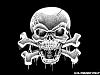 Whats your Willie G threat level..........-skull-crossbones-white-black.jpg