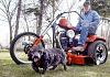 Do you wave while changing your oil?-harley-lawnmower.jpg