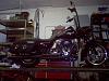 My Road King-chips-flhr-011.jpg