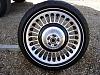 Tire pressure for best wear on dunflops-p3120005.jpg