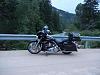 SHOW your ride....picture showdown!!!!-stella-2011-6.jpg