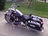 Own a Road King with a solo seat? Chime in here....-roadking2.jpg