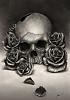 Etchings by Pig-skull_and_roses_by_evlncyd-d30t1g9.jpg