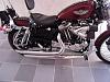 Sportster 1200C, Am I nuts?-p5250009.jpg