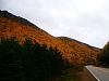 Let's see some fall pics...-fall-pics-1t.jpg