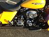 Yellow Harleys-back.jpg