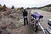 Road King on the brain.-az-...jpg