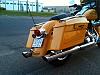 Yellow Harleys-img_0106.jpg