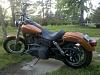 Mostly Free and Easy Horn Relo 2009 Glide-street-bob.jpg