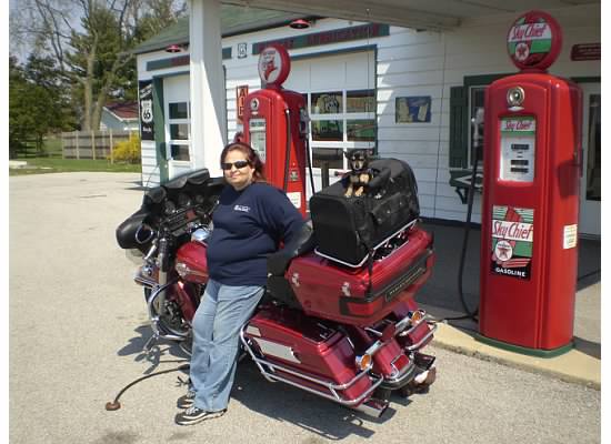 Saddlemen Pet Voyager  Pet Carrier for Motorcycles