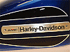 tank emblem options on 6 gallon tanks-harleydavidsontank.gif