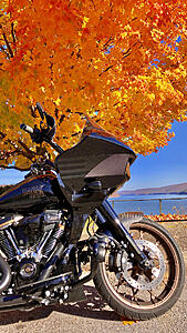 SHOW your ride....picture showdown!!!!-photo970.jpg