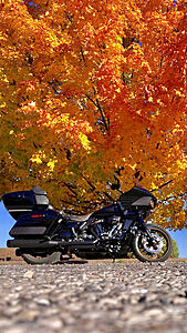 SHOW your ride....picture showdown!!!!-photo34.jpg