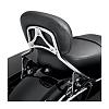 Detachable Sissy Bar and pad-3561.jpg