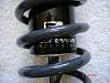 13&quot; Progressive Shocks 5 Shipped-dsc01965.jpg