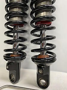 ProAction 13&quot; shocks (Excellent condition)-photo708.jpg