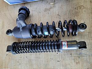 13&quot; Premium Shocks-1000001701.jpg