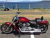  Post a PIC of your V Rod here-14022010174-copy.jpg