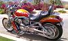  Post a PIC of your V Rod here-imag0526.jpg