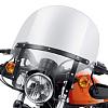 Quick-Release Compact Windshield - XL1200X Forty-Eight-windshield.jpg