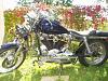 just got my first harley-home-pictures-2-057.jpg